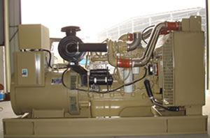 Groupe électrogène Cummins 20~250kVA